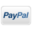 Make a Payment with PayPal